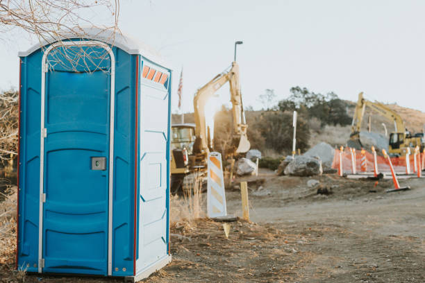 Best Affordable porta potty rental  in Edneyville, NC