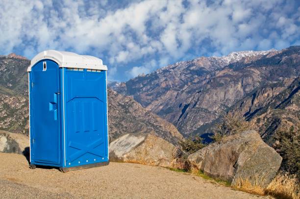 Best Best portable toilet rental  in Edneyville, NC